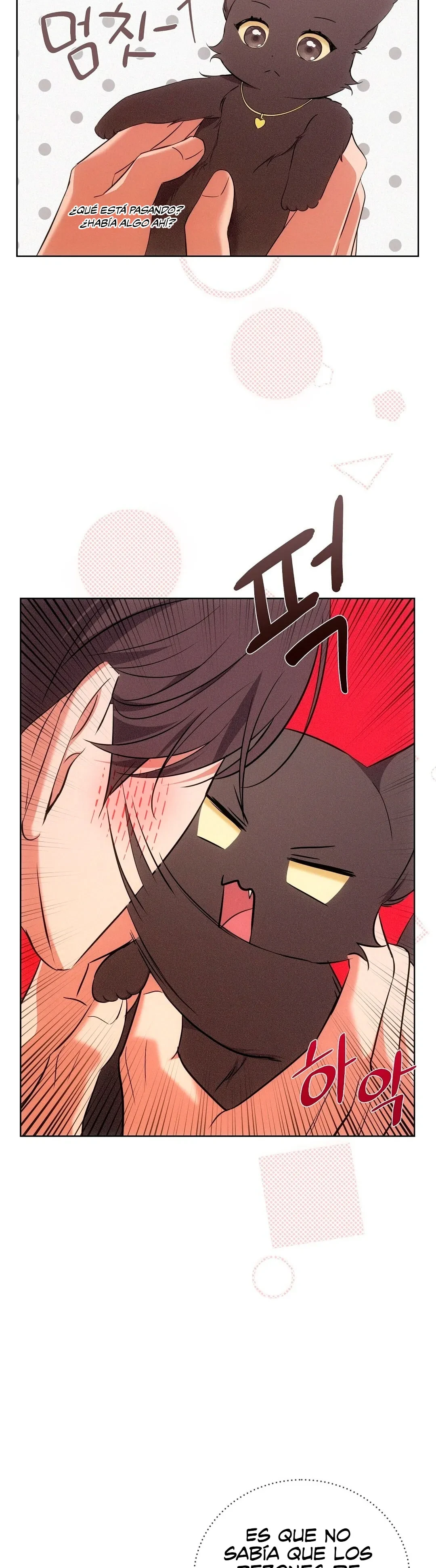 Terapia de gatos Capítulo 6 - Page 17