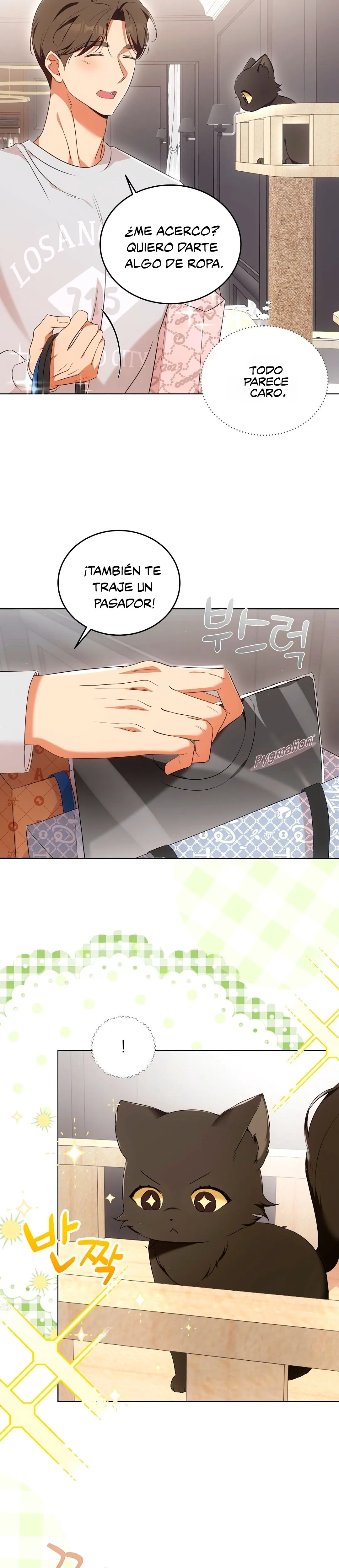 Terapia de gatos Capítulo 8 - Page 11