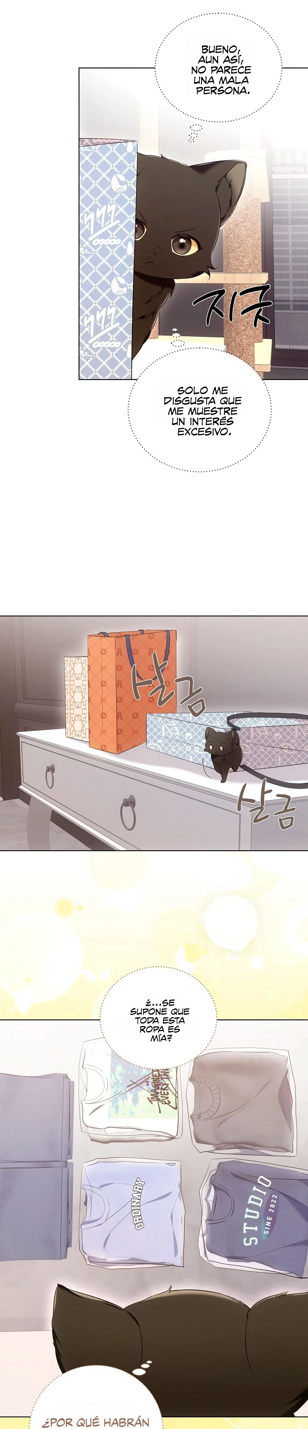 Terapia de gatos Capítulo 8 - Page 14