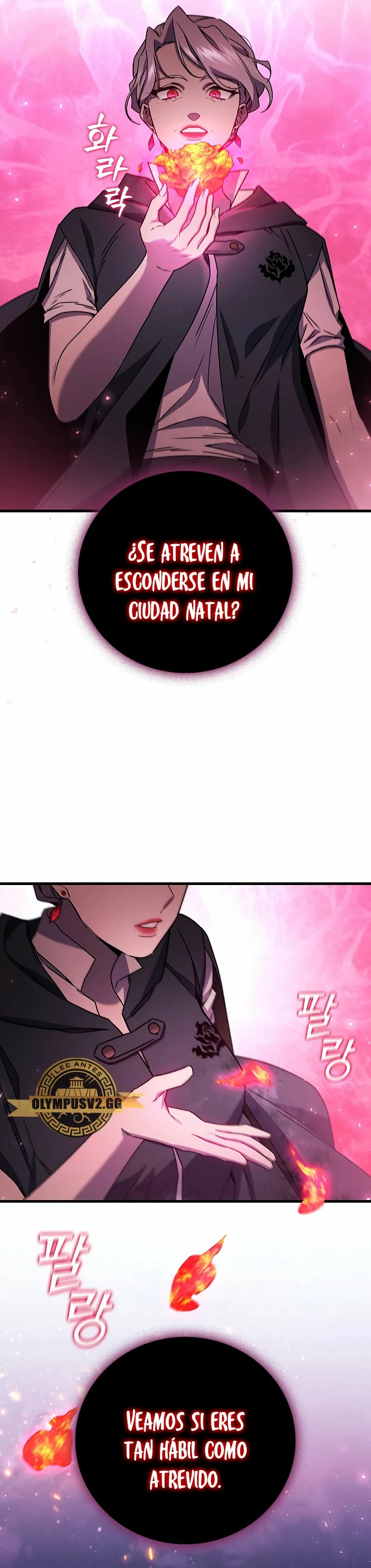 Mago devorador de dragones Capítulo 12 - Page 5