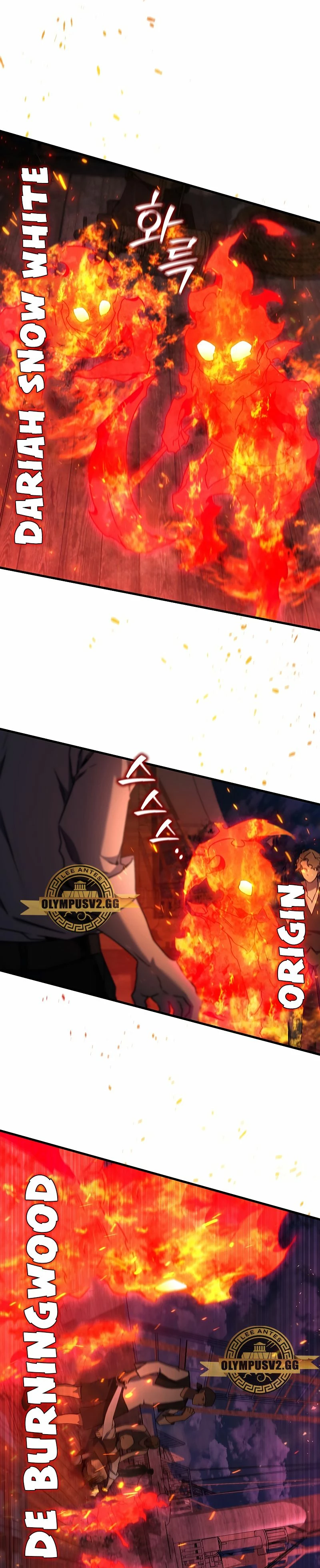 Mago devorador de dragones Capítulo 12 - Page 8