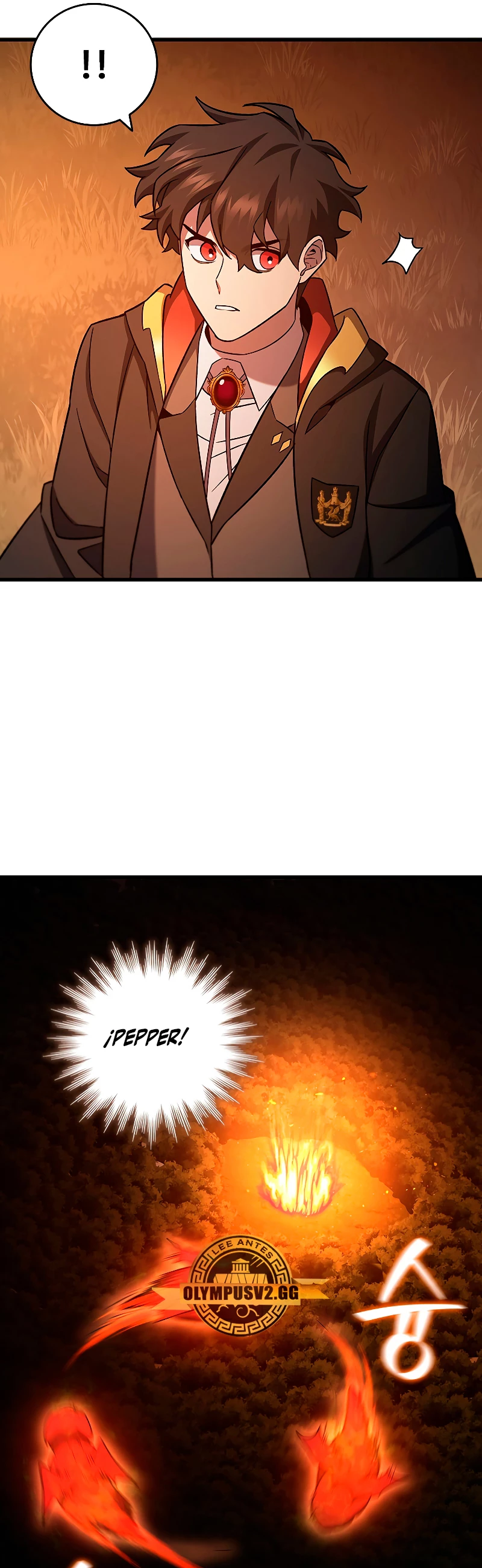 Mago devorador de dragones Capítulo 23 - Page 43