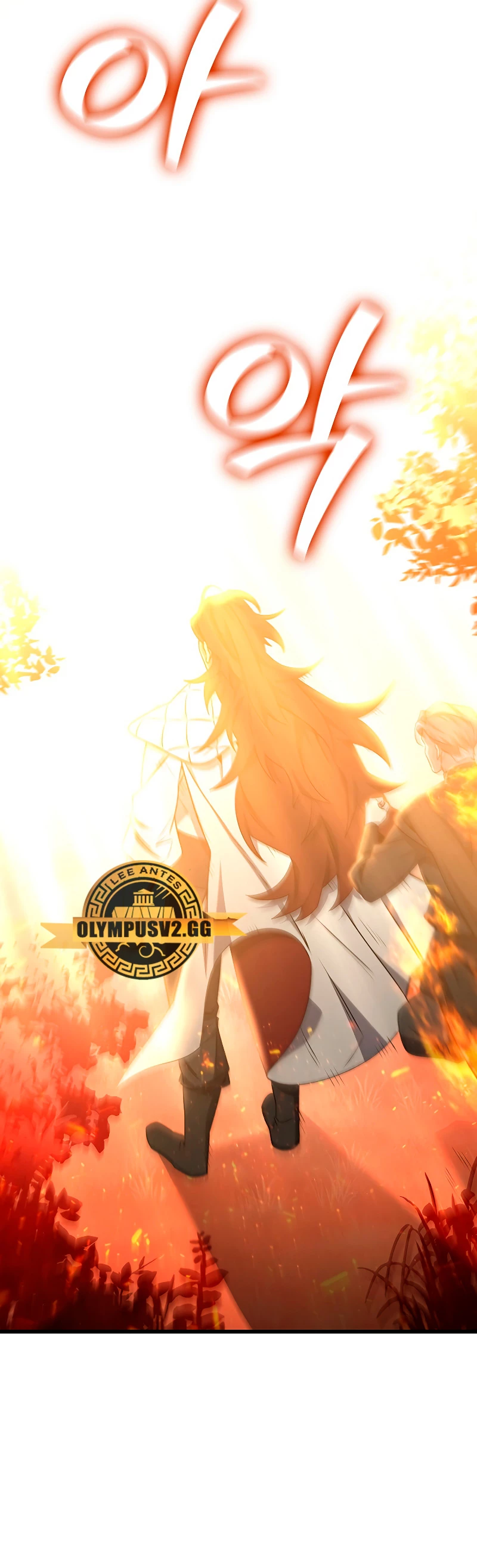 Mago devorador de dragones Capítulo 26 - Page 8