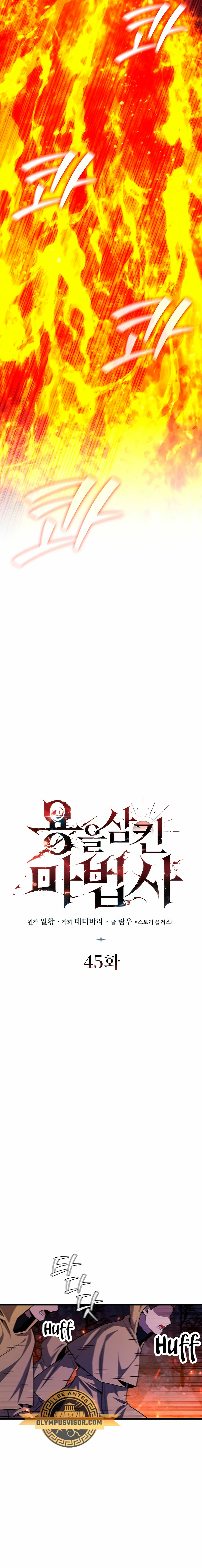 Mago devorador de dragones Capítulo 45 - Page 9