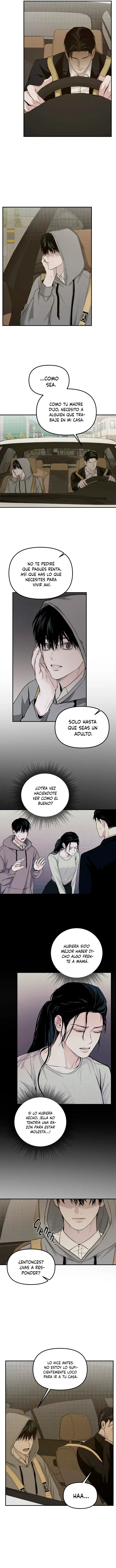 Proyeccion Capítulo 12 - Page 5