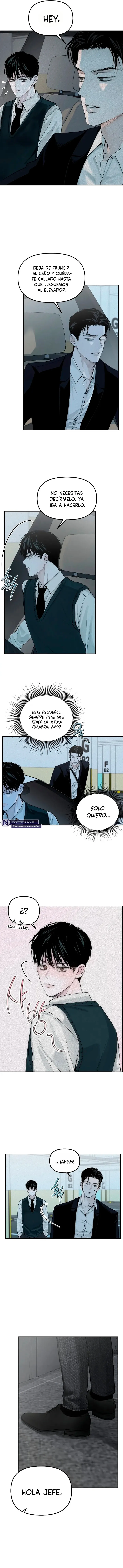 Proyeccion Capítulo 16 - Page 7