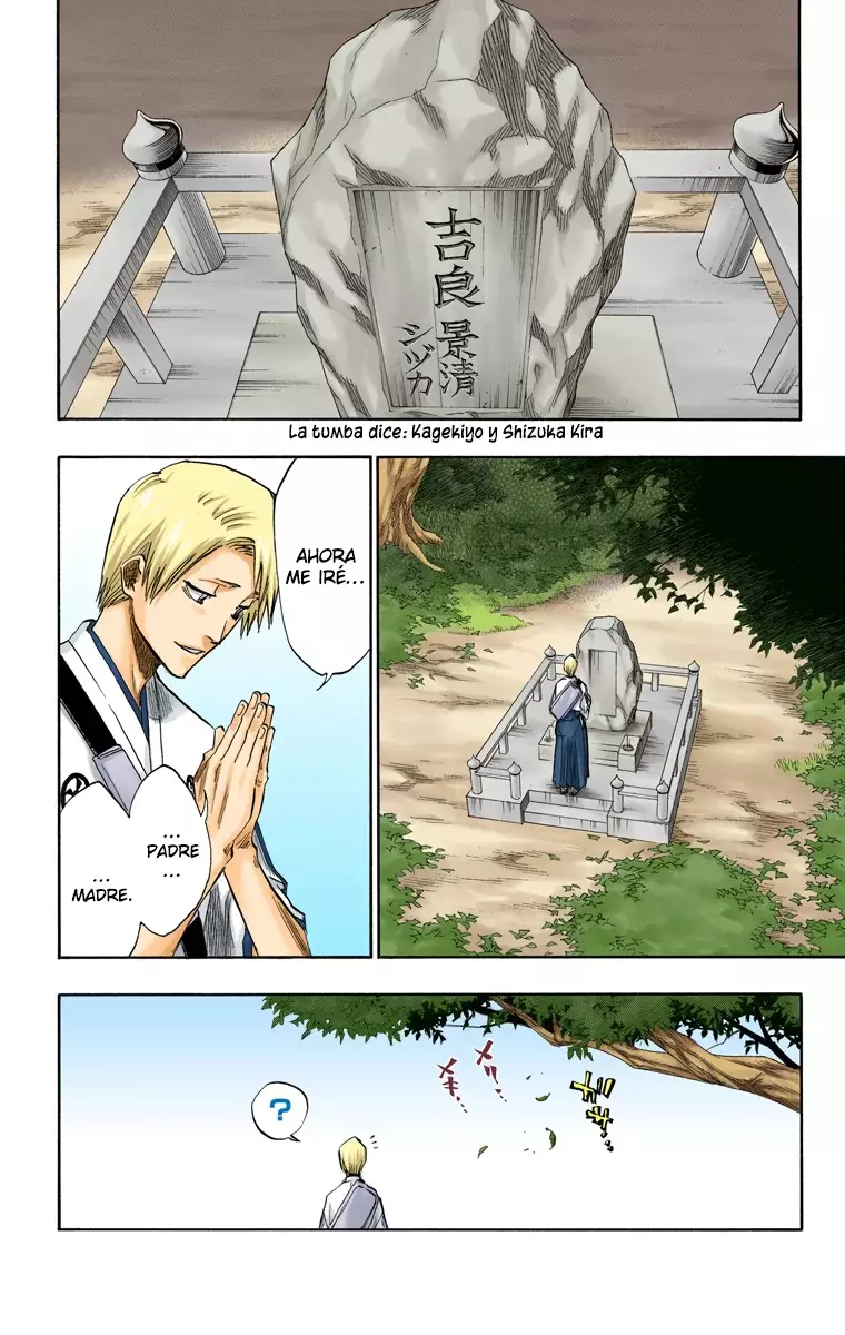Bleach – Digital Colored Comics Capítulo 130.5 - Page 5