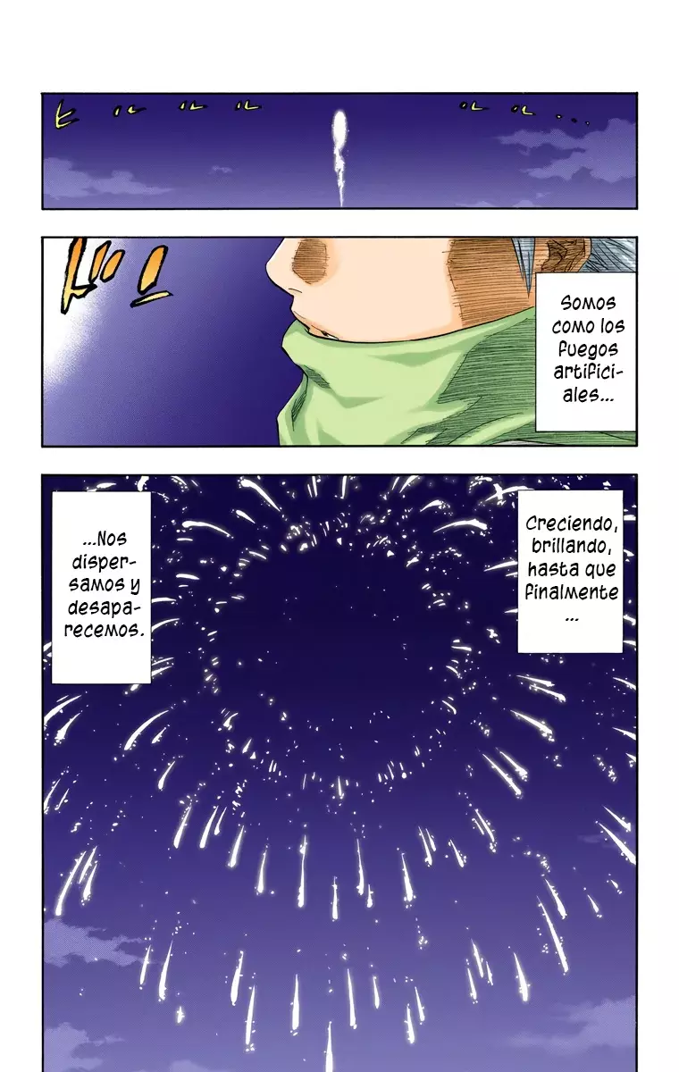 Bleach – Digital Colored Comics Capítulo 168.5 - Page 11