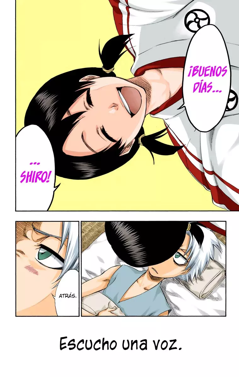 Bleach – Digital Colored Comics Capítulo 286.5 - Page 5