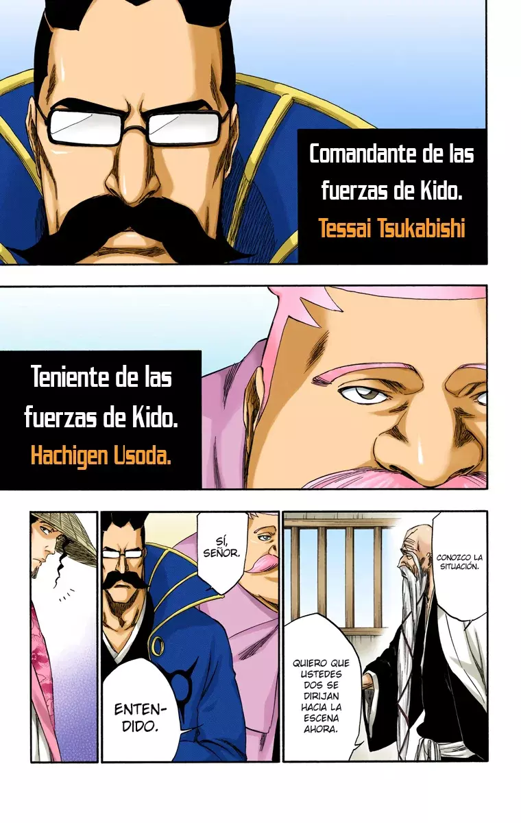 Bleach – Digital Colored Comics Capítulo 315.7 - Page 10