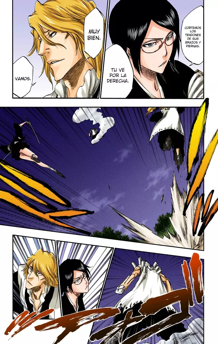 Bleach – Digital Colored Comics Capítulo 315.8 - Page 10
