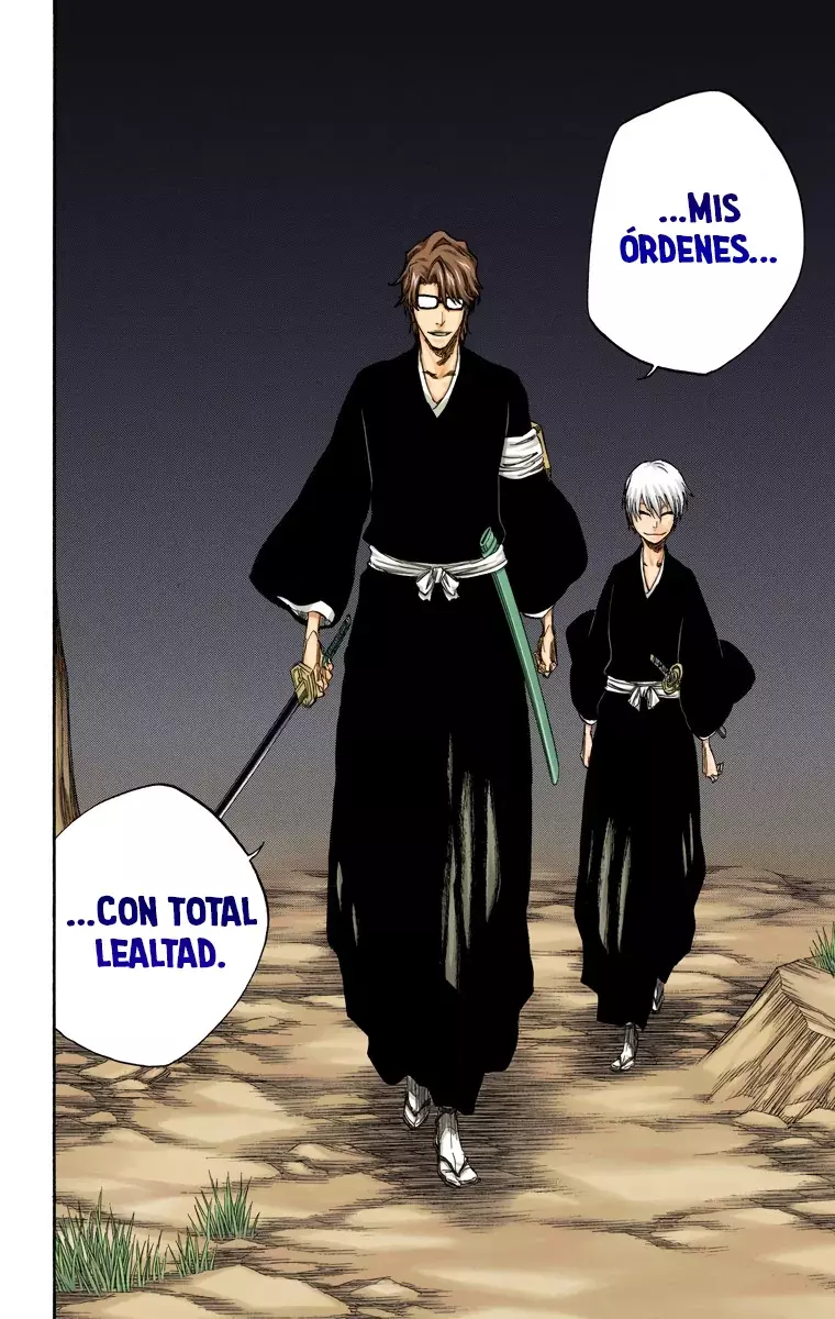 Bleach – Digital Colored Comics Capítulo 315.9 - Page 19