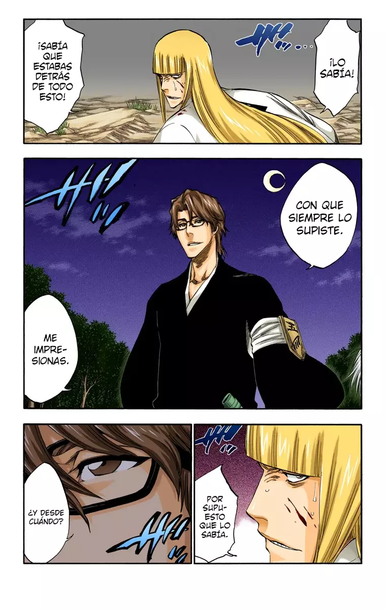 Bleach – Digital Colored Comics Capítulo 315.95 - Page 9