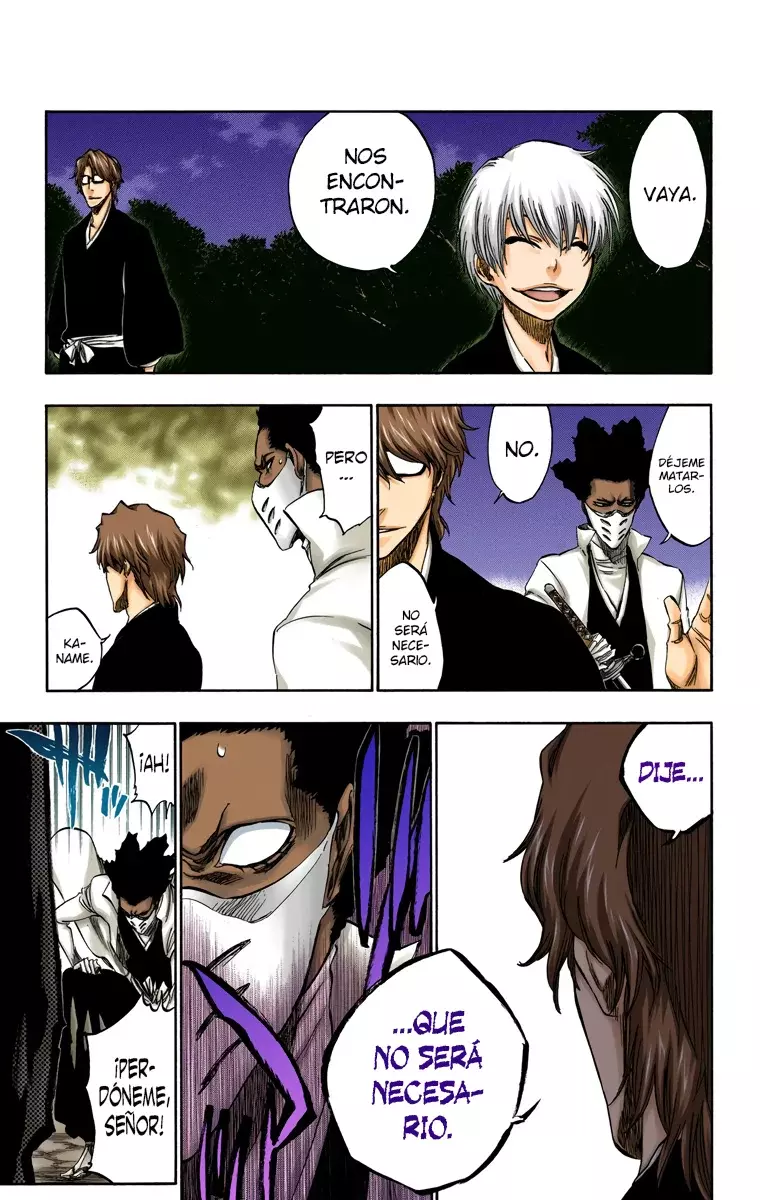 Bleach – Digital Colored Comics Capítulo 315.96 - Page 4