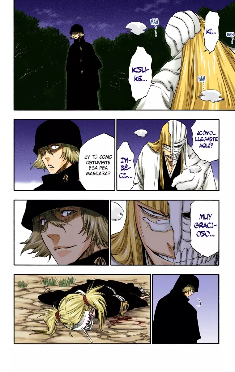 Bleach – Digital Colored Comics Capítulo 315.96 - Page 5