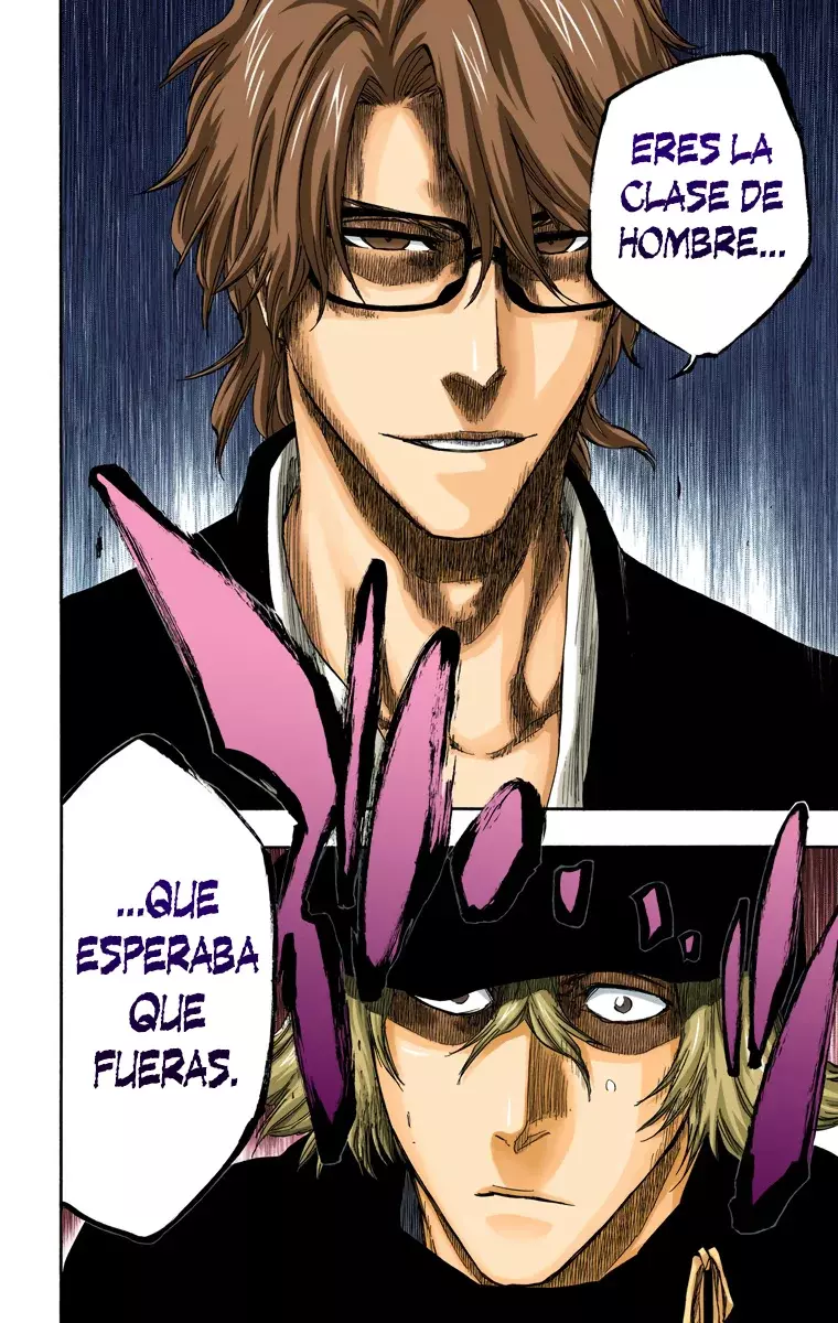 Bleach – Digital Colored Comics Capítulo 315.96 - Page 9