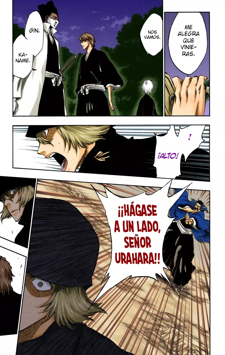 Bleach – Digital Colored Comics Capítulo 315.96 - Page 10