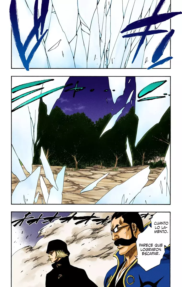 Bleach – Digital Colored Comics Capítulo 315.96 - Page 14