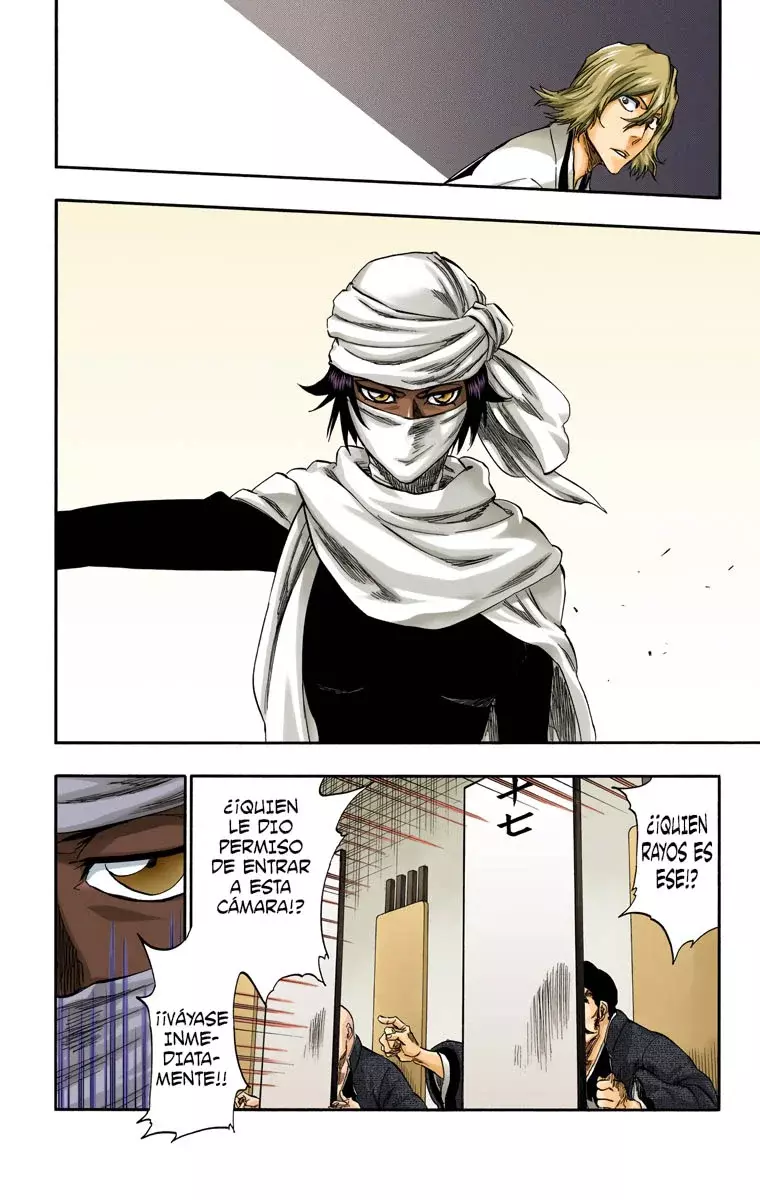 Bleach – Digital Colored Comics Capítulo 315.97 - Page 13