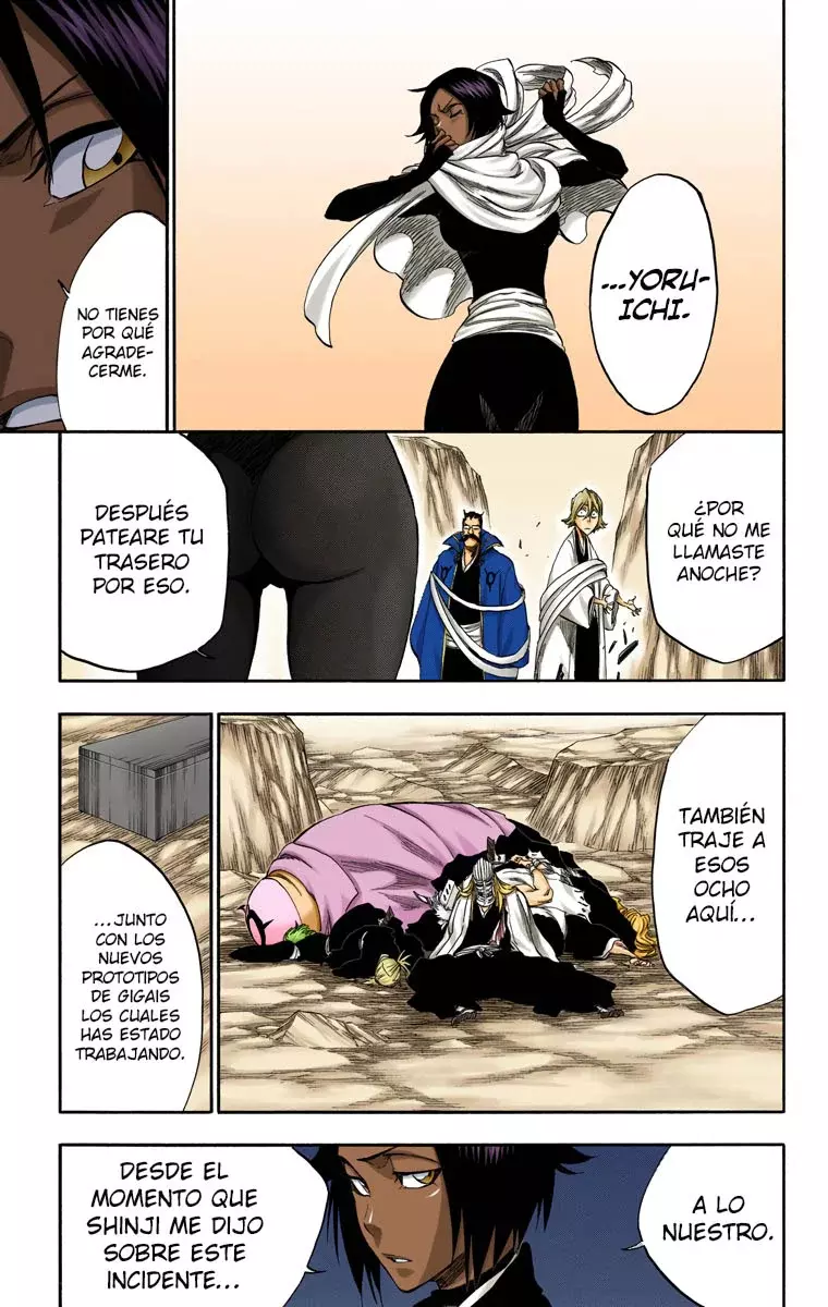 Bleach – Digital Colored Comics Capítulo 315.97 - Page 16