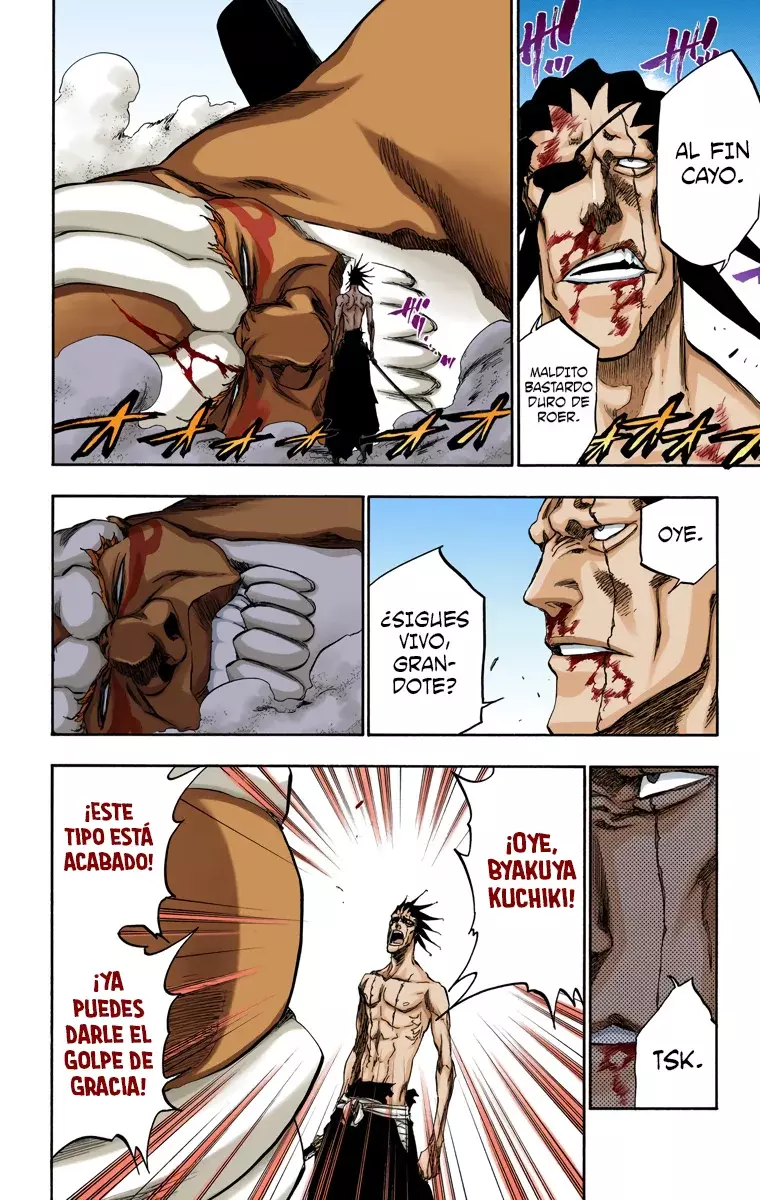 Bleach – Digital Colored Comics Capítulo 382 - Page 11