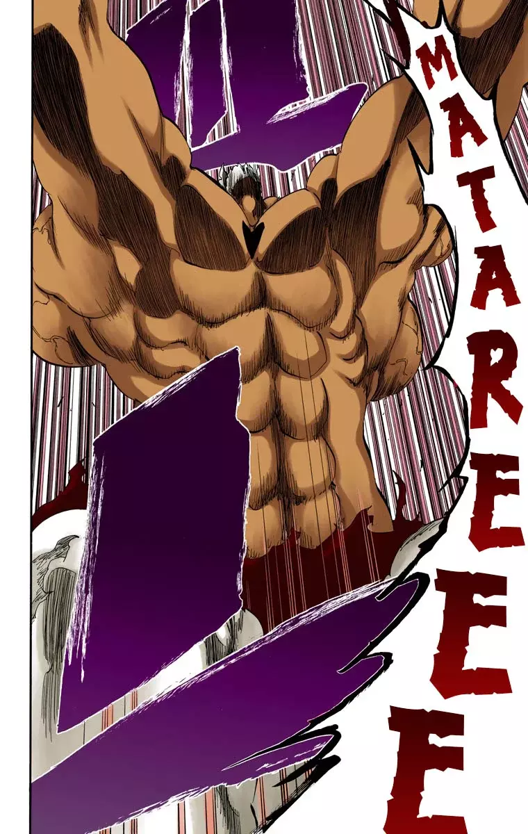 Bleach – Digital Colored Comics Capítulo 383 - Page 5