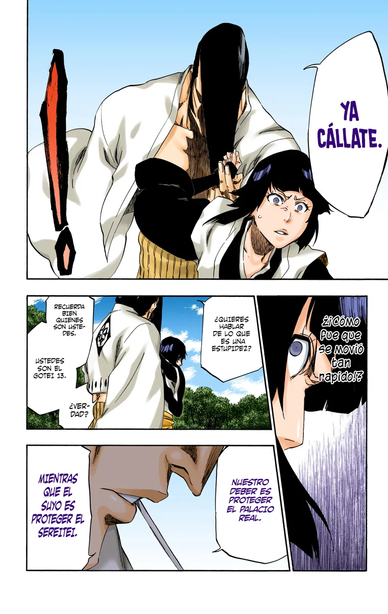 Bleach – Digital Colored Comics Capítulo 517 - Page 13