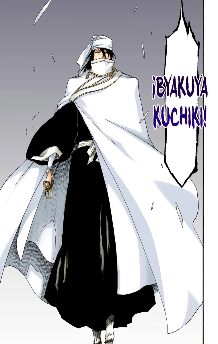 Bleach – Digital Colored Comics Capítulo 568 - Page 17