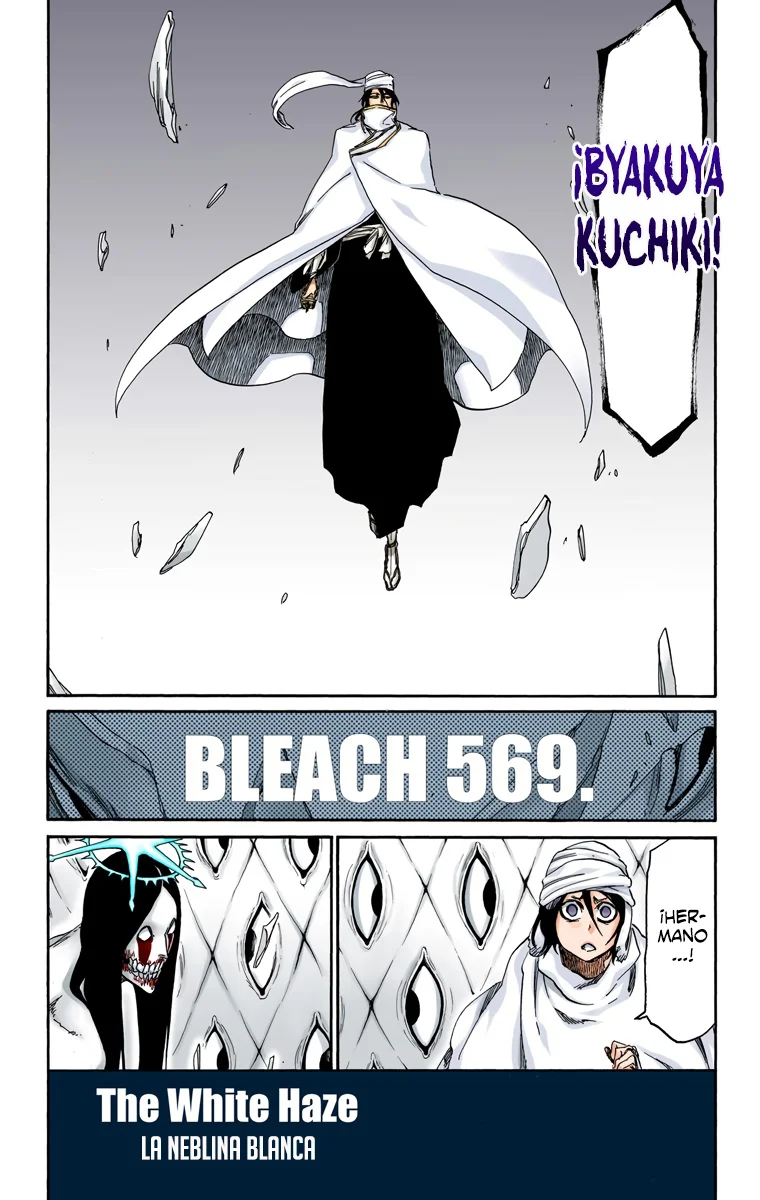 Bleach – Digital Colored Comics Capítulo 569 - Page 2