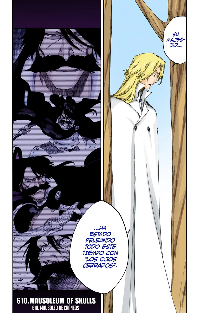 Bleach – Digital Colored Comics Capítulo 610 - Page 2