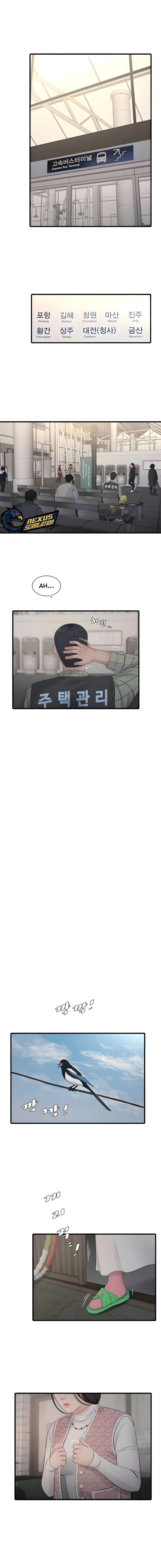 Diario de inspección de ajummas Capítulo 116 - Page 7