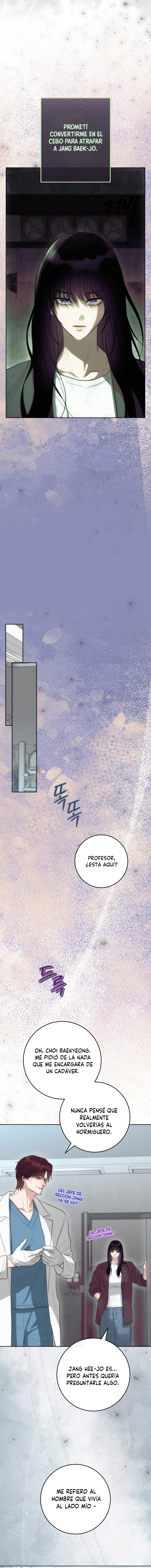 Hormiguero Capítulo 40 - Page 6