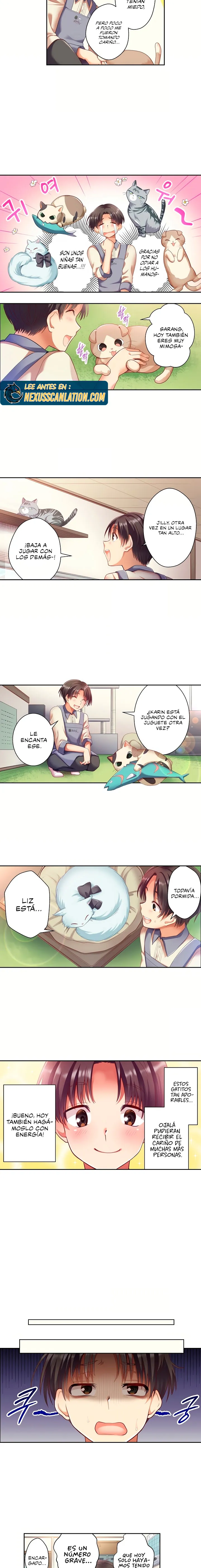 Café de gatos! Quiero estar contigo cariño Capítulo 1 - Page 3