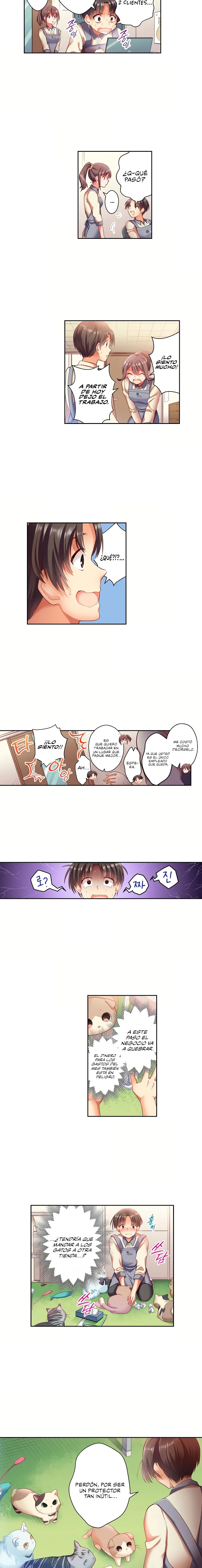 Café de gatos! Quiero estar contigo cariño Capítulo 1 - Page 4