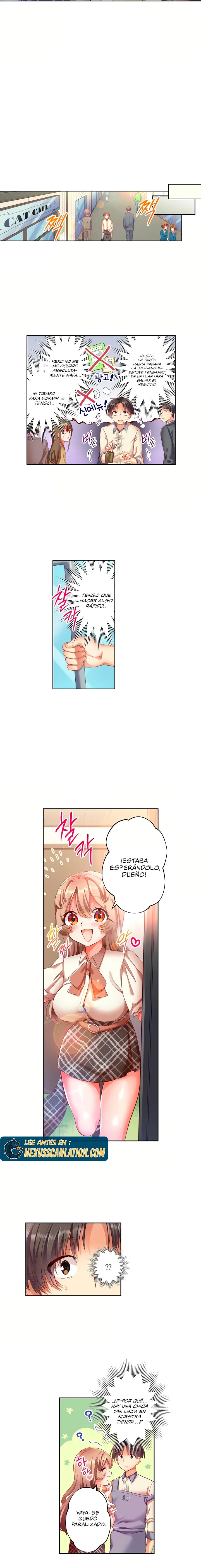 Café de gatos! Quiero estar contigo cariño Capítulo 1 - Page 5