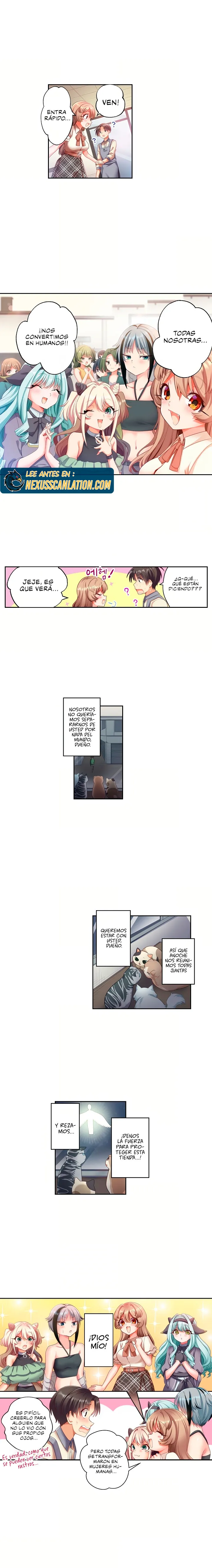Café de gatos! Quiero estar contigo cariño Capítulo 1 - Page 6