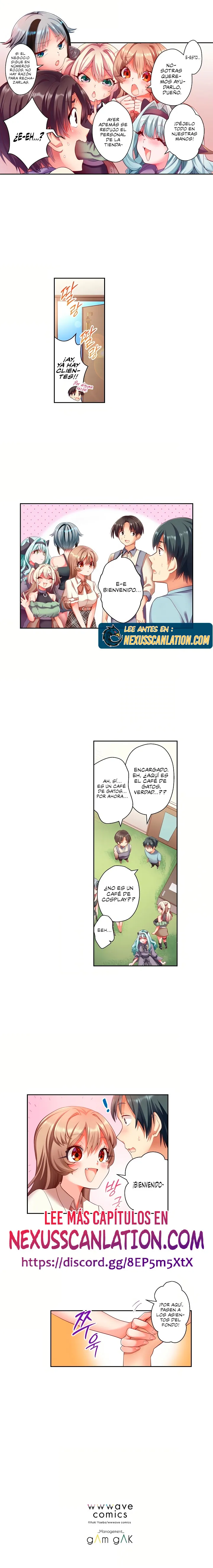 Café de gatos! Quiero estar contigo cariño Capítulo 1 - Page 7