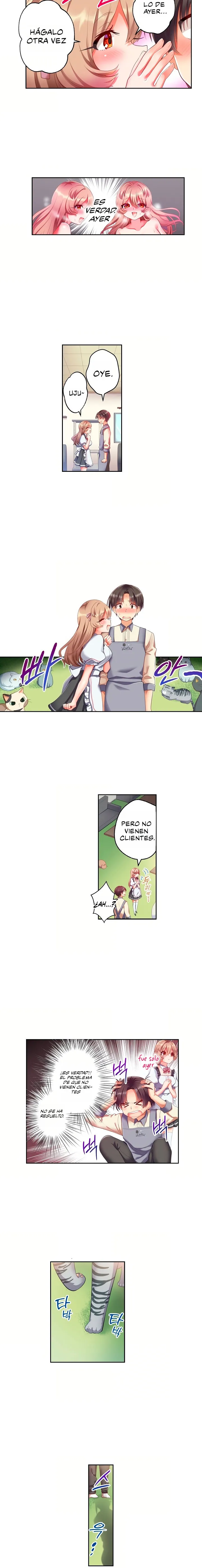 Café de gatos! Quiero estar contigo cariño Capítulo 5 - Page 2