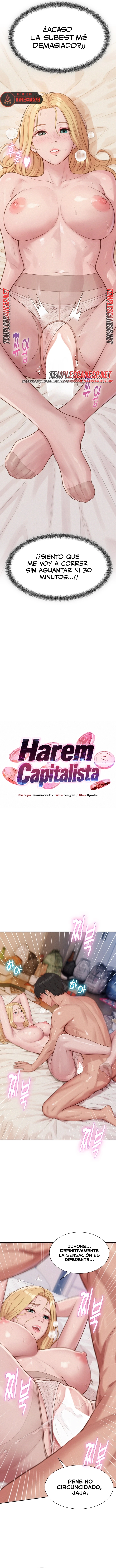 Harem Capitalista Capítulo 17 - Page 2
