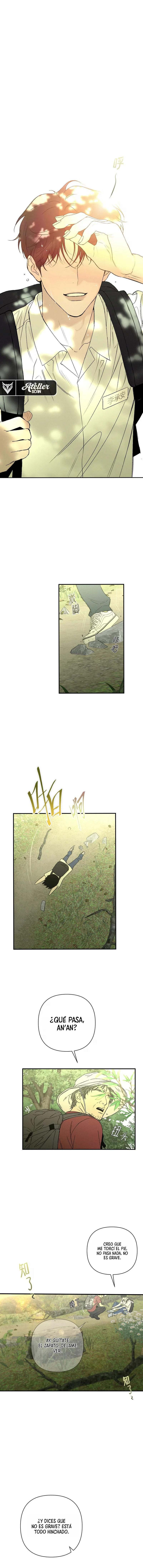 Perros contra perros Capítulo 1 - Page 3