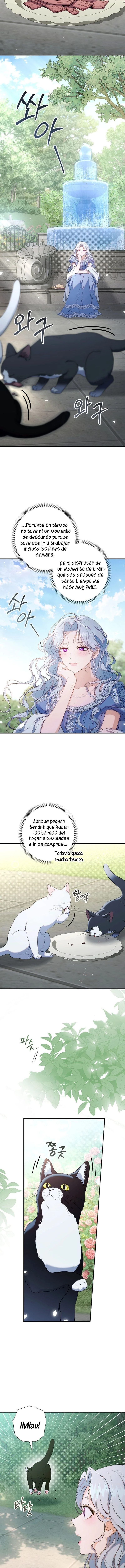 Sin saberlo, tengo un romance secreto con el emperador Capítulo 3 - Page 17