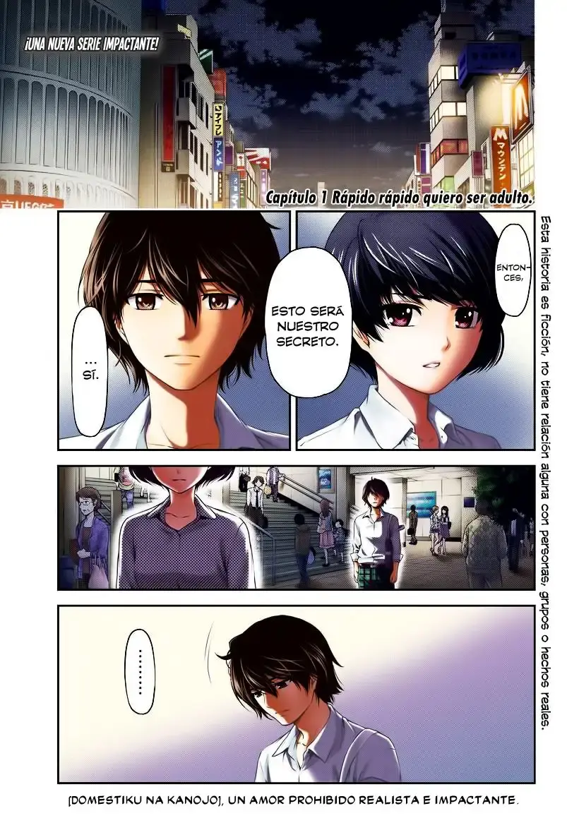 Domestic na Kanojo Capítulo 1 - Page 4