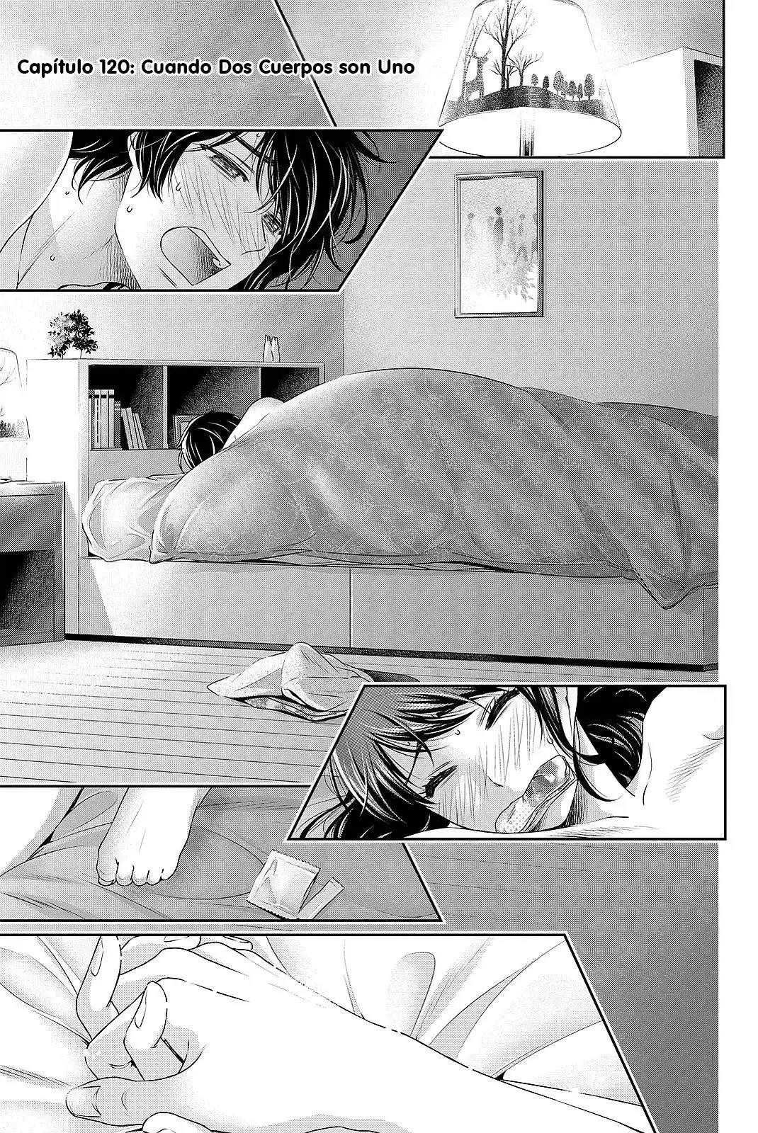 Domestic na Kanojo Capítulo 120 - Page 2