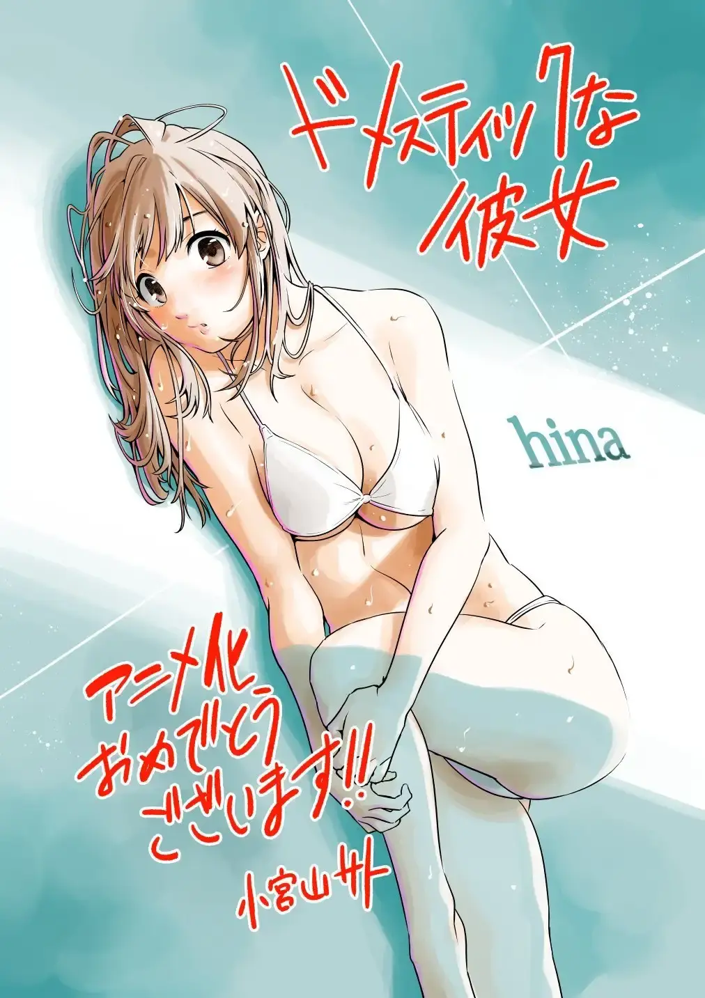Domestic na Kanojo Capítulo 146 - Page 19