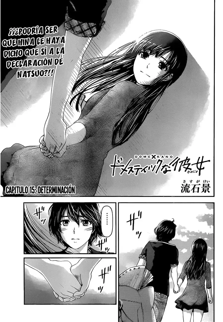 Domestic na Kanojo Capítulo 15 - Page 2