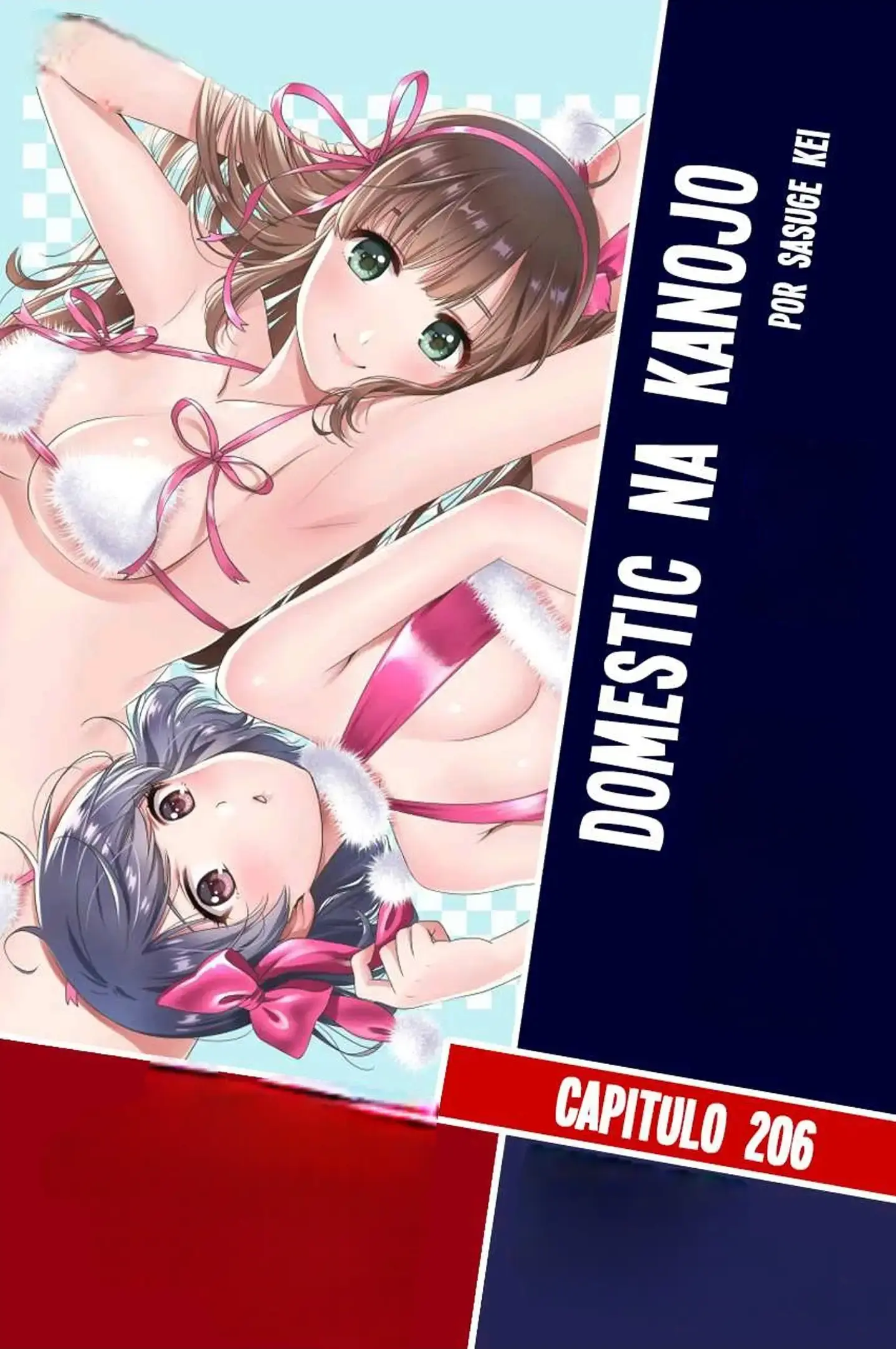 Domestic na Kanojo Capítulo 206 - Page 1