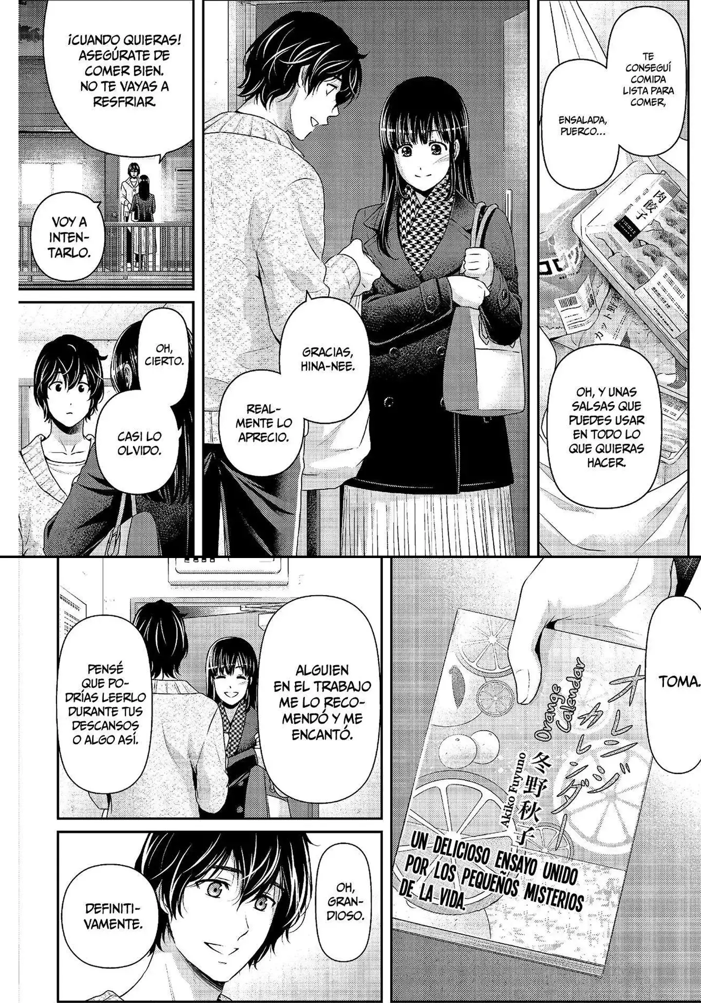 Domestic na Kanojo Capítulo 208 - Page 10