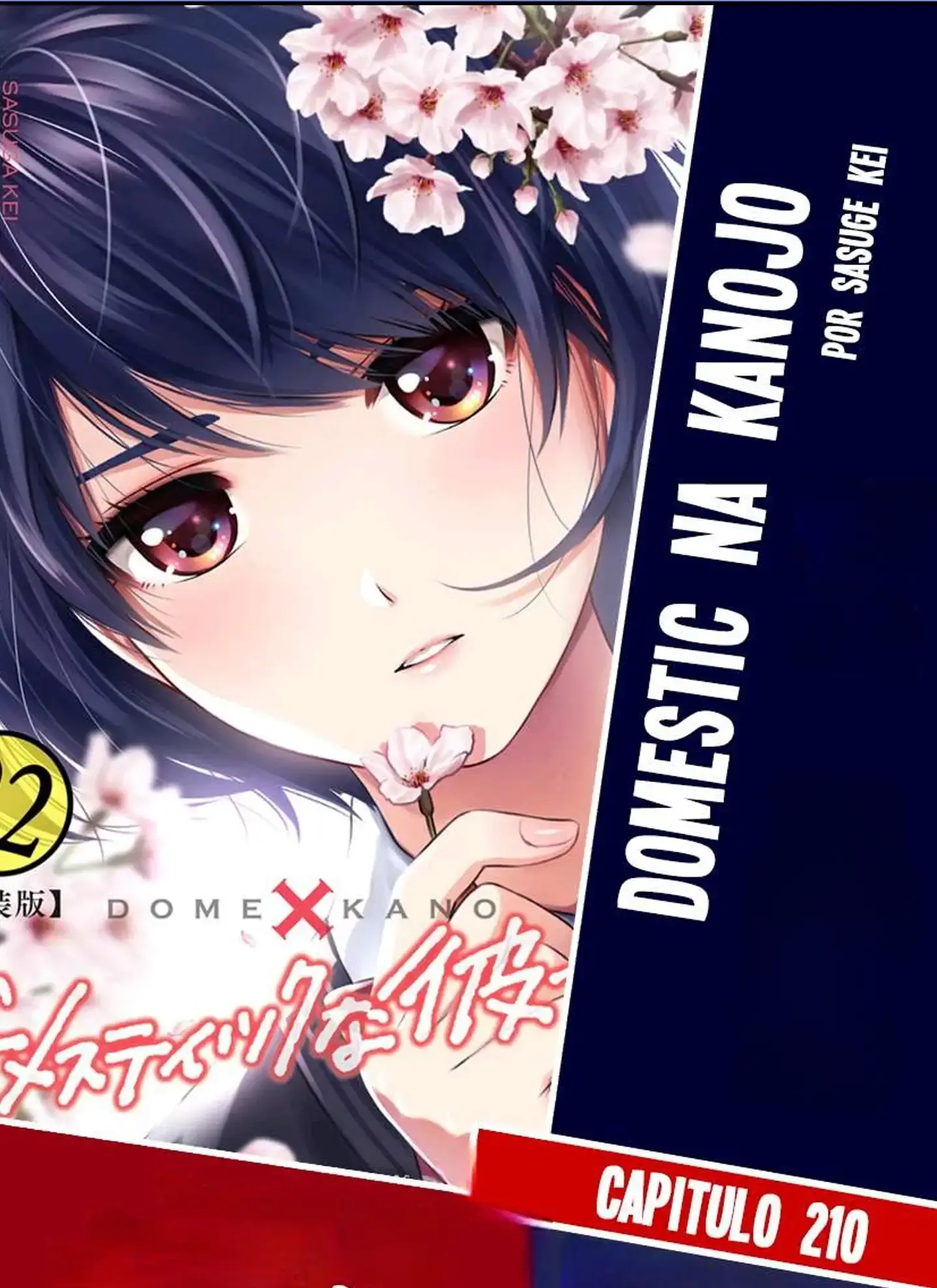 Domestic na Kanojo Capítulo 210 - Page 1