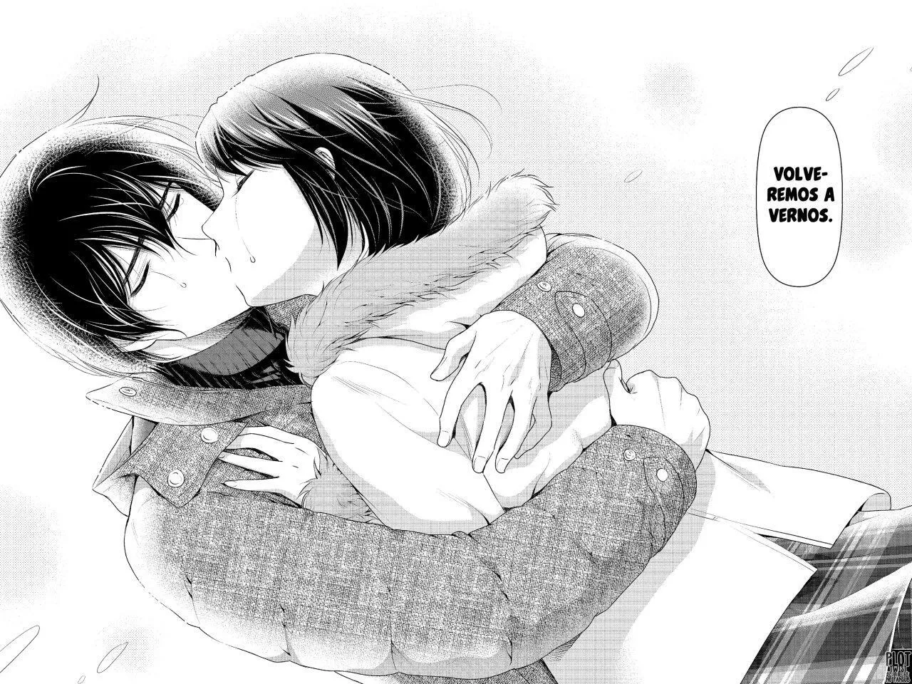 Domestic na Kanojo Capítulo 216 - Page 17