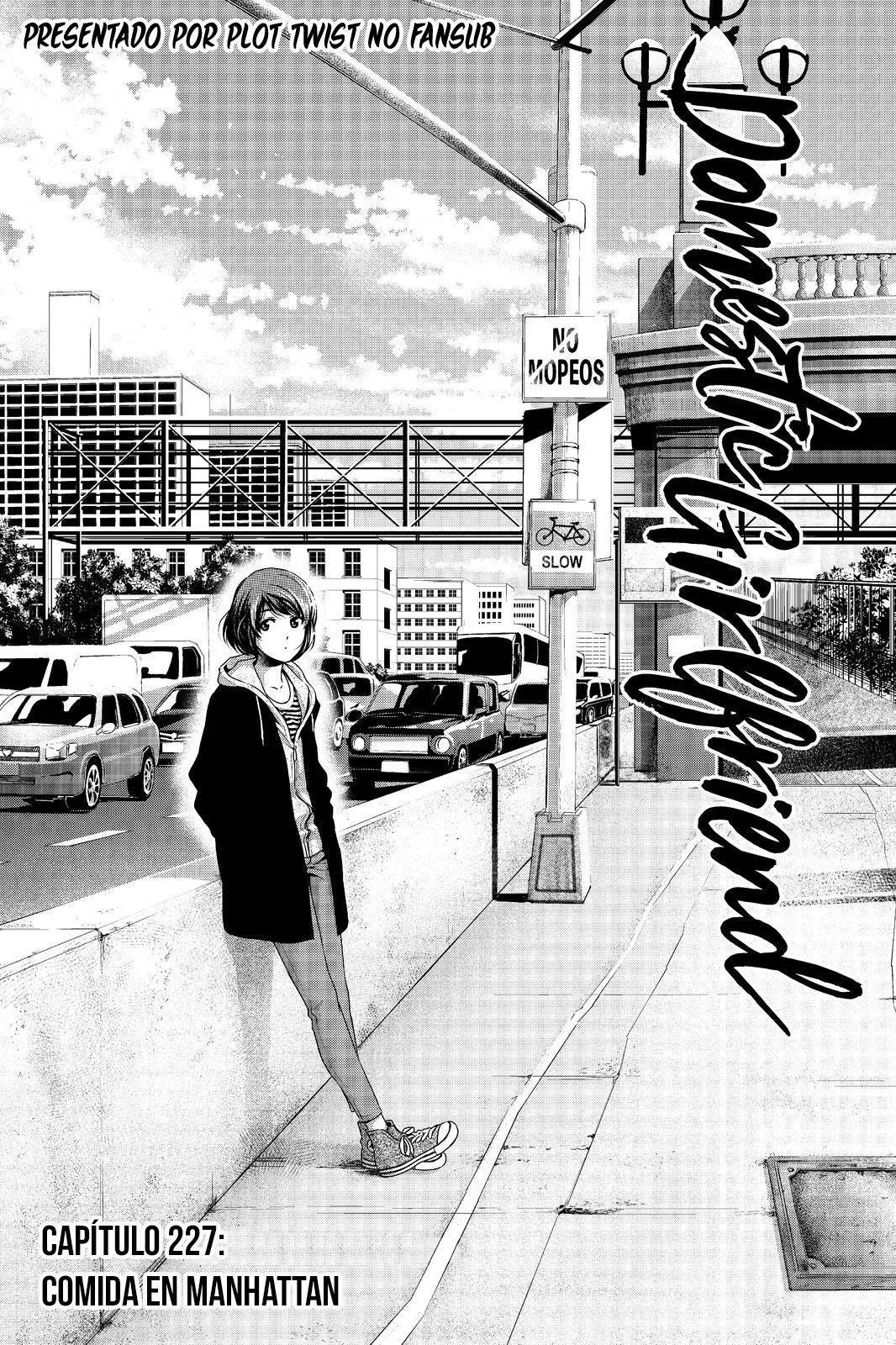 Domestic na Kanojo Capítulo 227 - Page 2